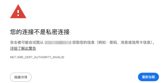 HSTS报错